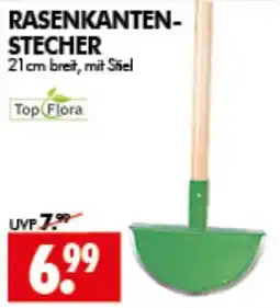 Wreesmann RASENKANTEN-STECHER Top Flora Angebot