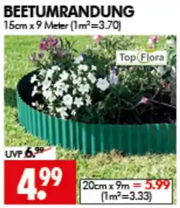 Wreesmann BEETUMRANDUNG Top Flora Angebot
