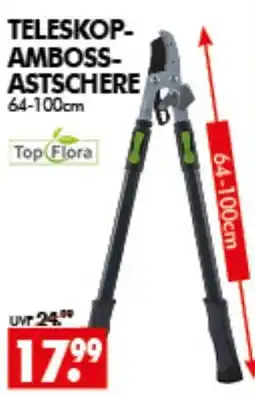 Wreesmann TELESKOP-AMBOSSTASTSCHERE Angebot