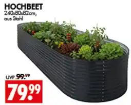 Wreesmann HOCHBEET Angebot