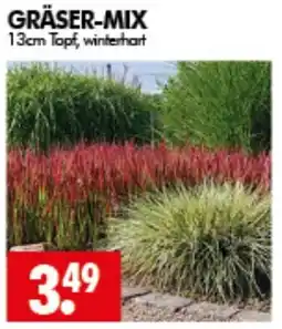 Wreesmann GRÄSER-MIX Angebot