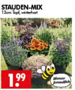 Wreesmann STAUDEN-MIX Angebot