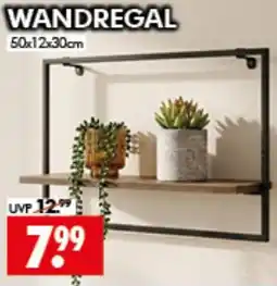 Wreesmann WANDREGAL Angebot