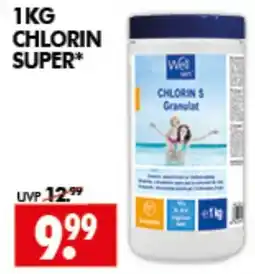 Wreesmann Chlorin Super Angebot