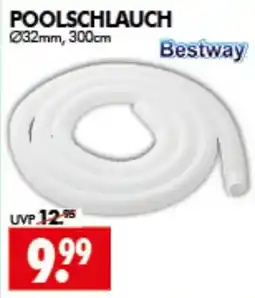 Wreesmann POOLSCHLAUCH Bestway Angebot