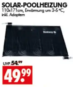 Wreesmann SOLAR-POOLHEIZUNG Angebot