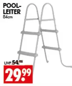 Wreesmann POOL-LEITER Angebot