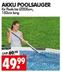 Wreesmann AKKU POOLSauger Angebot