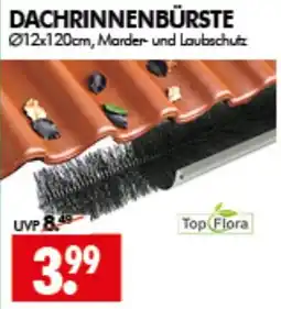 Wreesmann Dachrinnenbürste Top Flora Angebot