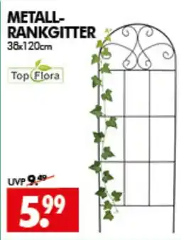 Wreesmann METALL-RANKGITTER Angebot