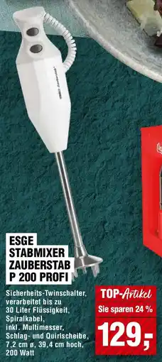 EDEKA Foodservice Esge stabmixer zauberstab p 200 profi Angebot
