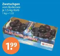 V Markt Zwetschgen vom Bodensee Angebot