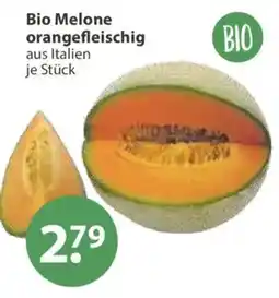 V Markt Bio Melone orange fleischig Angebot
