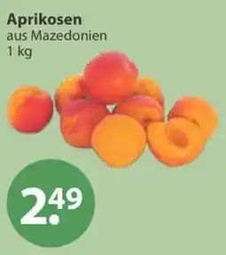 V Markt Aprikosen aus Mazedonien Angebot
