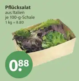 V Markt Pflücksalat aus Italien Angebot
