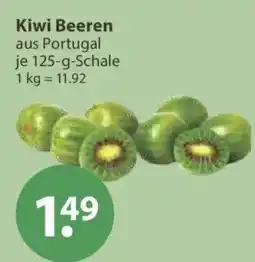 V Markt Kiwi Beeren Angebot
