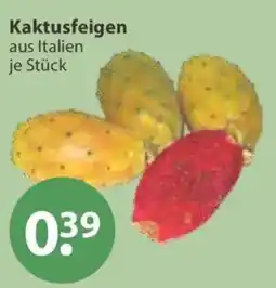 V Markt Kaktusfeigen Angebot