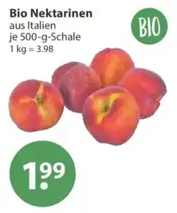 V Markt Bio Nektarinen Angebot