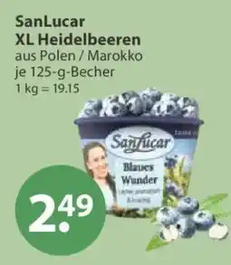 V Markt SanLucar XL Heidelbeeren Angebot