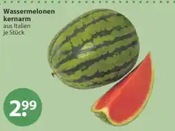 V Markt Wassermelonen kernarm Angebot