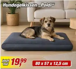 Posten Börse Hundegelkissen „Poldi“ Angebot