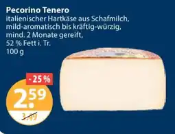 V Markt Pecorino Tenero Angebot