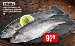 EDEKA Foodservice Forelle Angebot