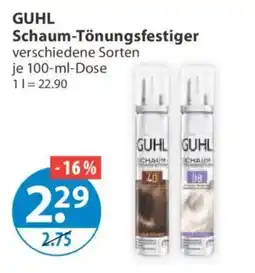 V Markt GUHL Schaum-Tönungsfestiger Angebot