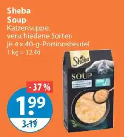 V Markt Sheba Soup Katzensuppe Angebot