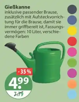 V Markt Gießkanne Angebot