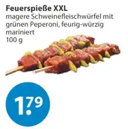 V Markt Feuerspieße XXL Angebot