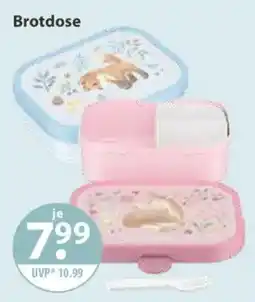V Markt Brotdose Angebot