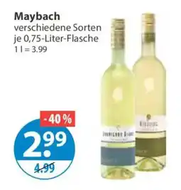 V Markt Maybach Angebot