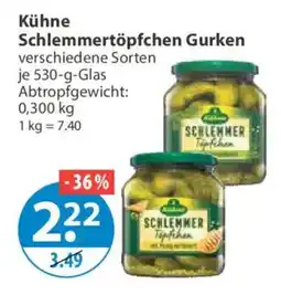 V Markt Kühne Schlemmertöpfchen Gurken Angebot