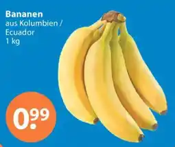 V Markt Bananen Angebot