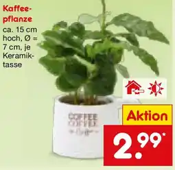 Netto Marken-Discount Kaffee-pflanze Angebot