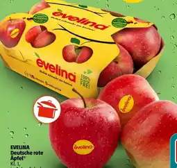PENNY EVELINA Deutsche rote Äpfel Angebot