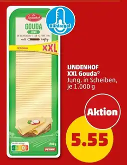 PENNY LINDENHOF XXL Gouda Angebot