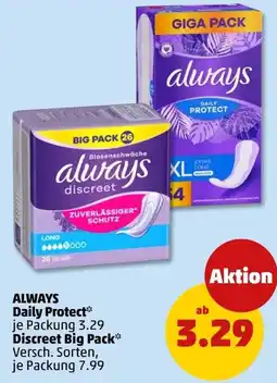 PENNY ALWAYS Daily Protect Angebot