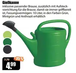 V Baumarkt Gießkanne Angebot