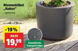 Thomas Philipps Blumenkübel „Kubus“ Angebot
