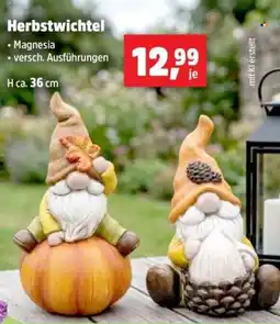 Thomas Philipps Herbstwichtel Magnesia Angebot
