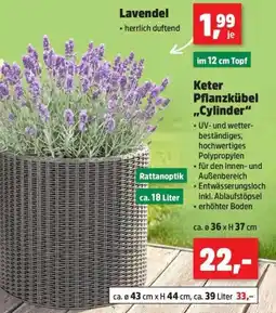 Thomas Philipps Keter Pflanzkübel „Cylinder“ Angebot
