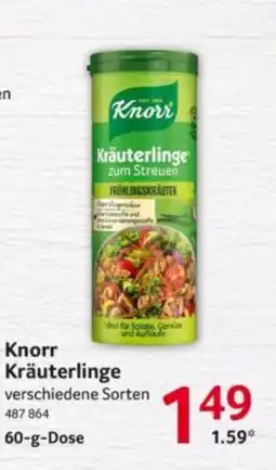Selgros Knorr Kräuterlinge Angebot