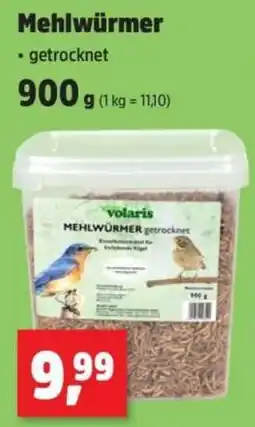Thomas Philipps volaris MEHLWÜRMER getrocknet Angebot