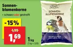 Thomas Philipps Sonnenblumenkerne Angebot
