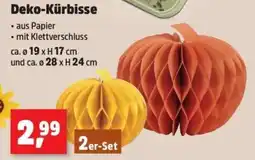 Thomas Philipps Deko-Kürbisse Angebot