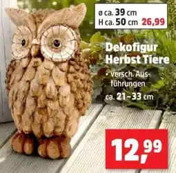 Thomas Philipps Dekofigur Herbst Tiere Angebot