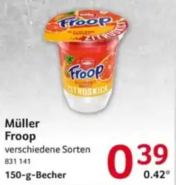 Selgros Müller Froop Angebot