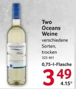 Selgros Two Oceans Weine Angebot